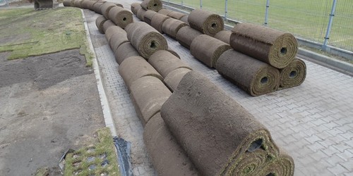 kielce wiadomości Na stadionie Korony układają węgierski dywan (ZDJĘCIA) 
