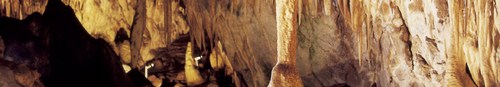 kielce wiadomości Olbrzymi mamut przy Jaskini „Raj”