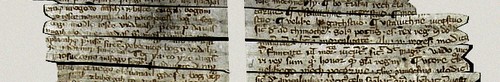 kielce wiadomości Manuskrypt „Kazań świętokrzyskich” będzie dostępny na Świętym 