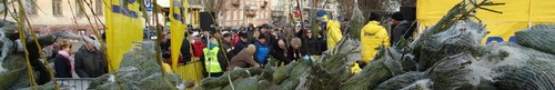 kielce wiadomości RMF rozdawał w Kielcach choinki (zdjęcia,video)