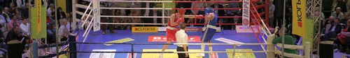 kielce sport Gala boksu Walka Gigantów w Galerii Korona - zdjęcia,video