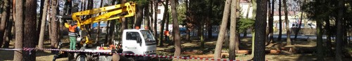 kielce wiadomości Trwa wycinka drzew na Bukówce - mieszkańcy protestują (zdjęcia